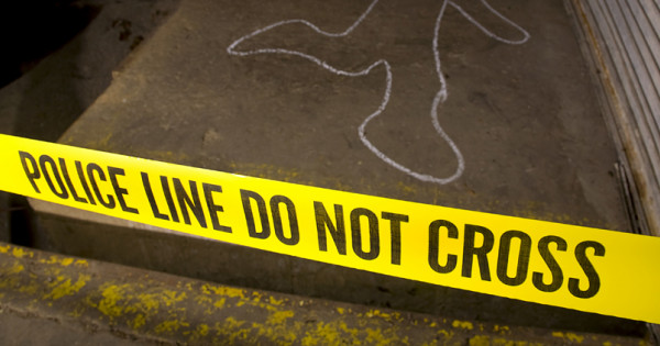 Murder party
