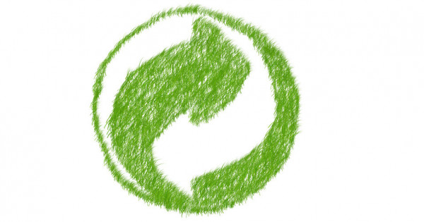 Développement durable en pratique : les éco-gestes à adopter