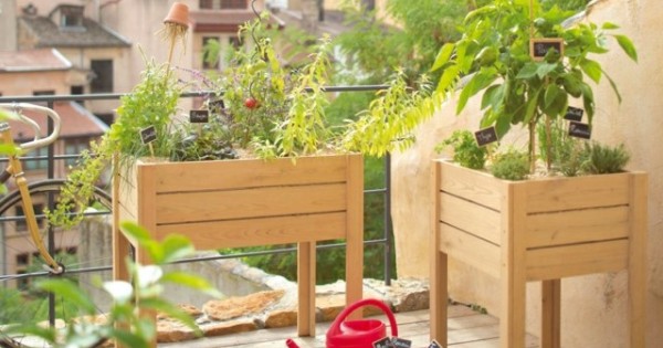 Potager Urbain